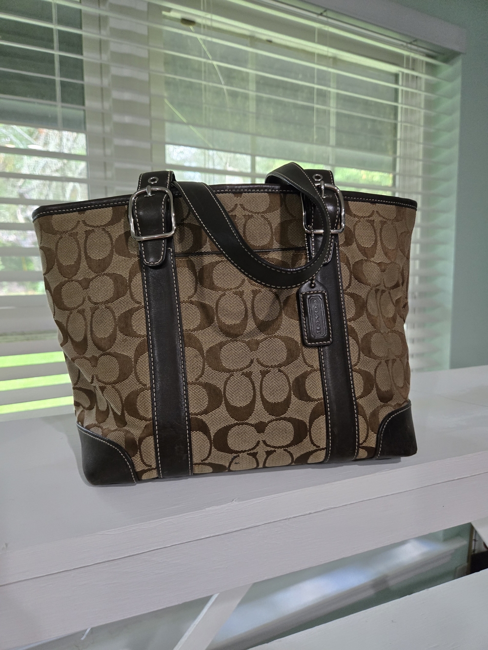 Coach Tan and Dark Brown Signature Logo Tote